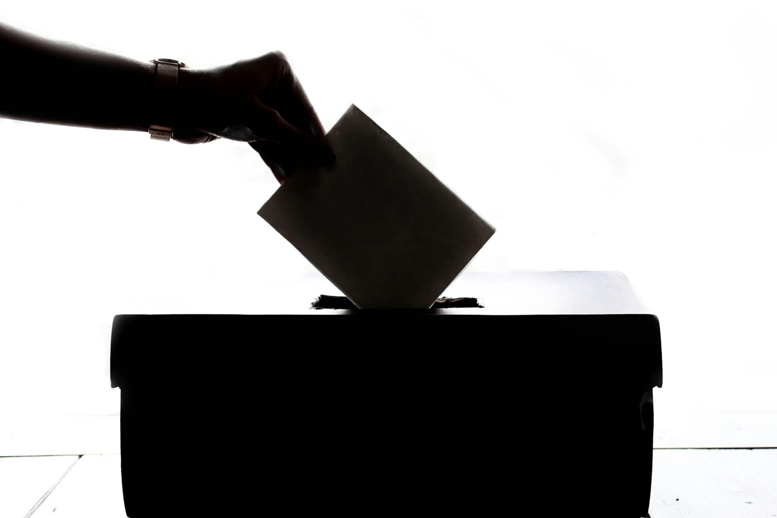 Voting-Why Bother?